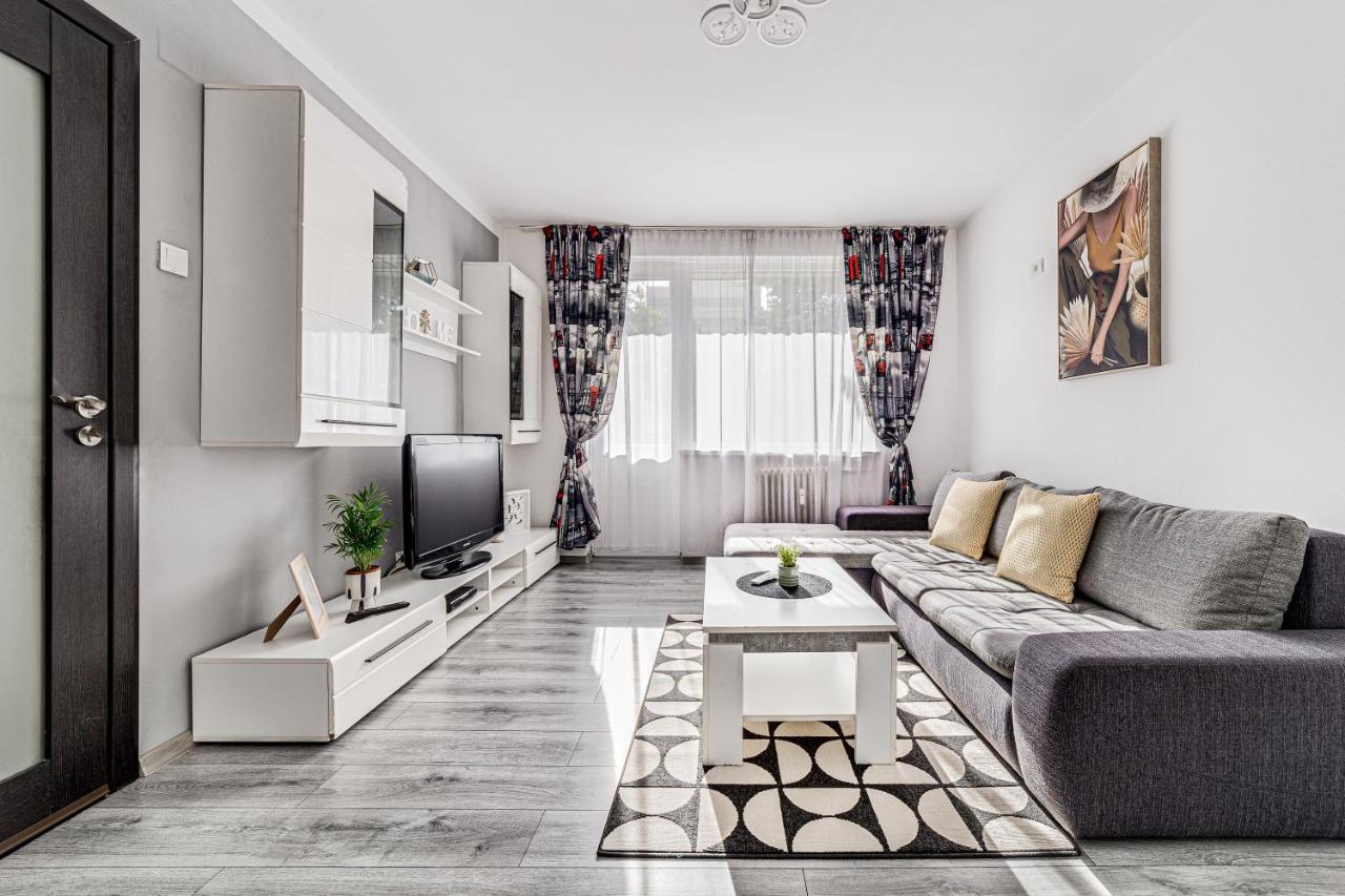 Gabriel Apartment Arad Exterior photo